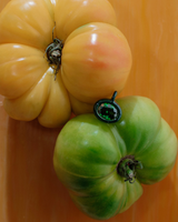 The Birthstone Charm