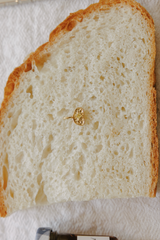 The Slice Charm